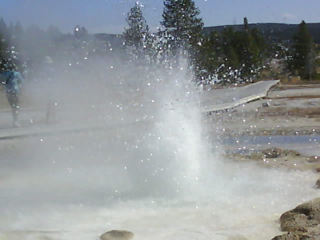 Yellowstone 073 Geyser.jpg